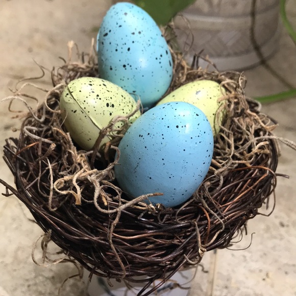 Robbin's Eggs Nest - Picture 4 of 5